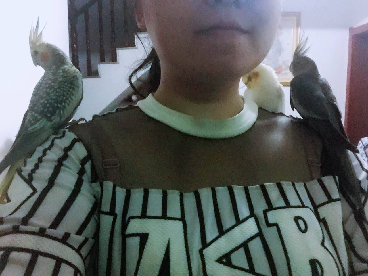 微信图片_20170524103318.jpg