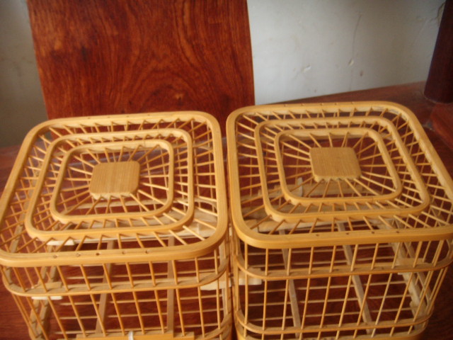 DSCN4380.JPG