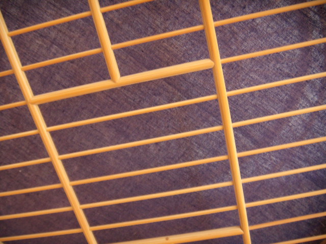 DSCN4417.JPG