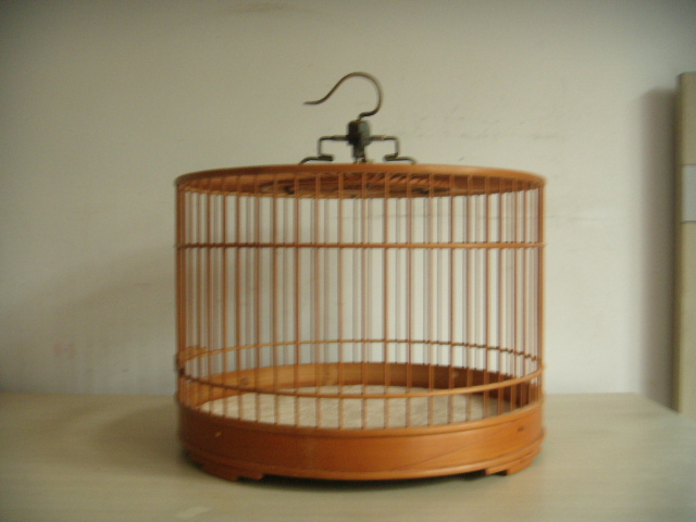 DSCN4189.JPG
