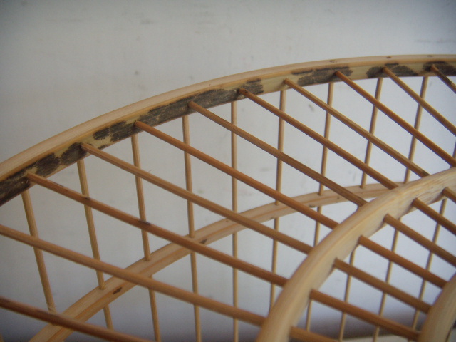 DSCN4461.JPG