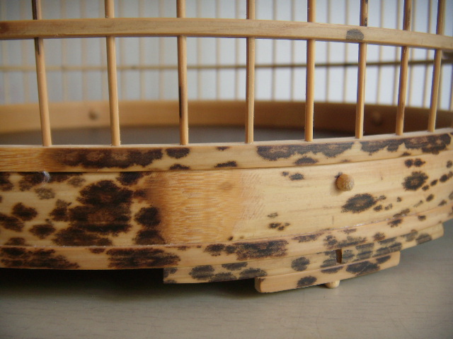 DSCN4452.JPG