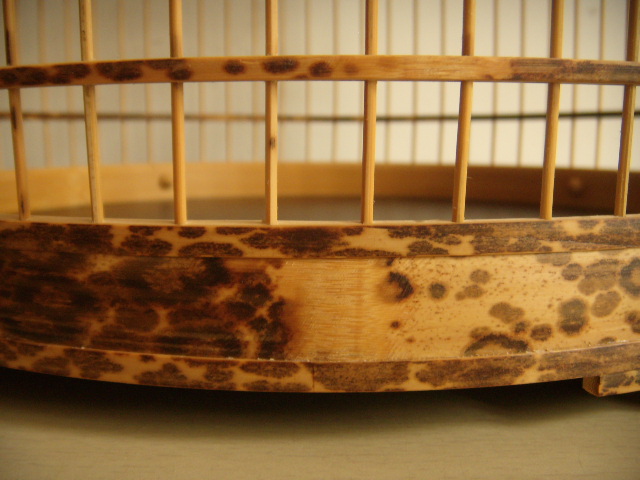 DSCN4168.JPG