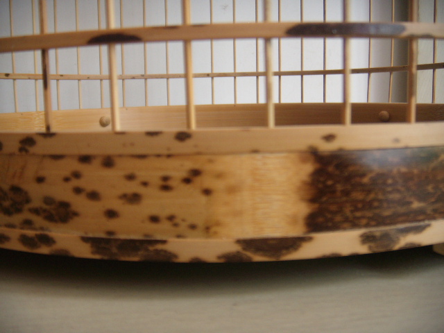 DSCN4306.JPG