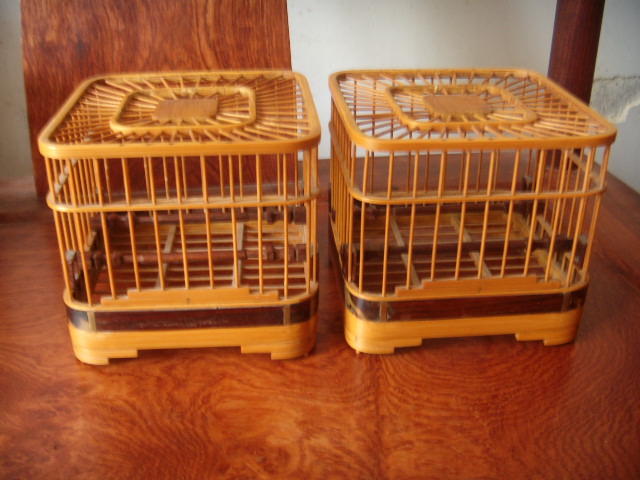 DSCN4375.JPG