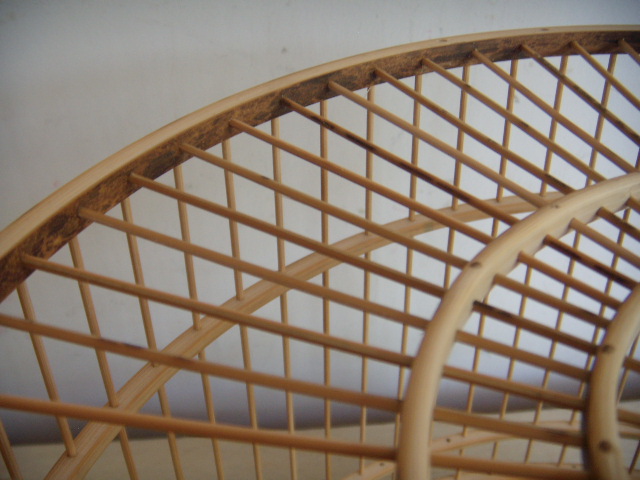 DSCN4453.JPG