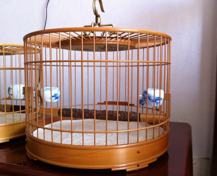 照片 005.jpg