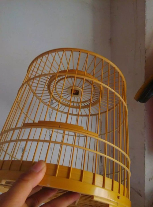 psb (5)_副本5555555555555555555555.jpg