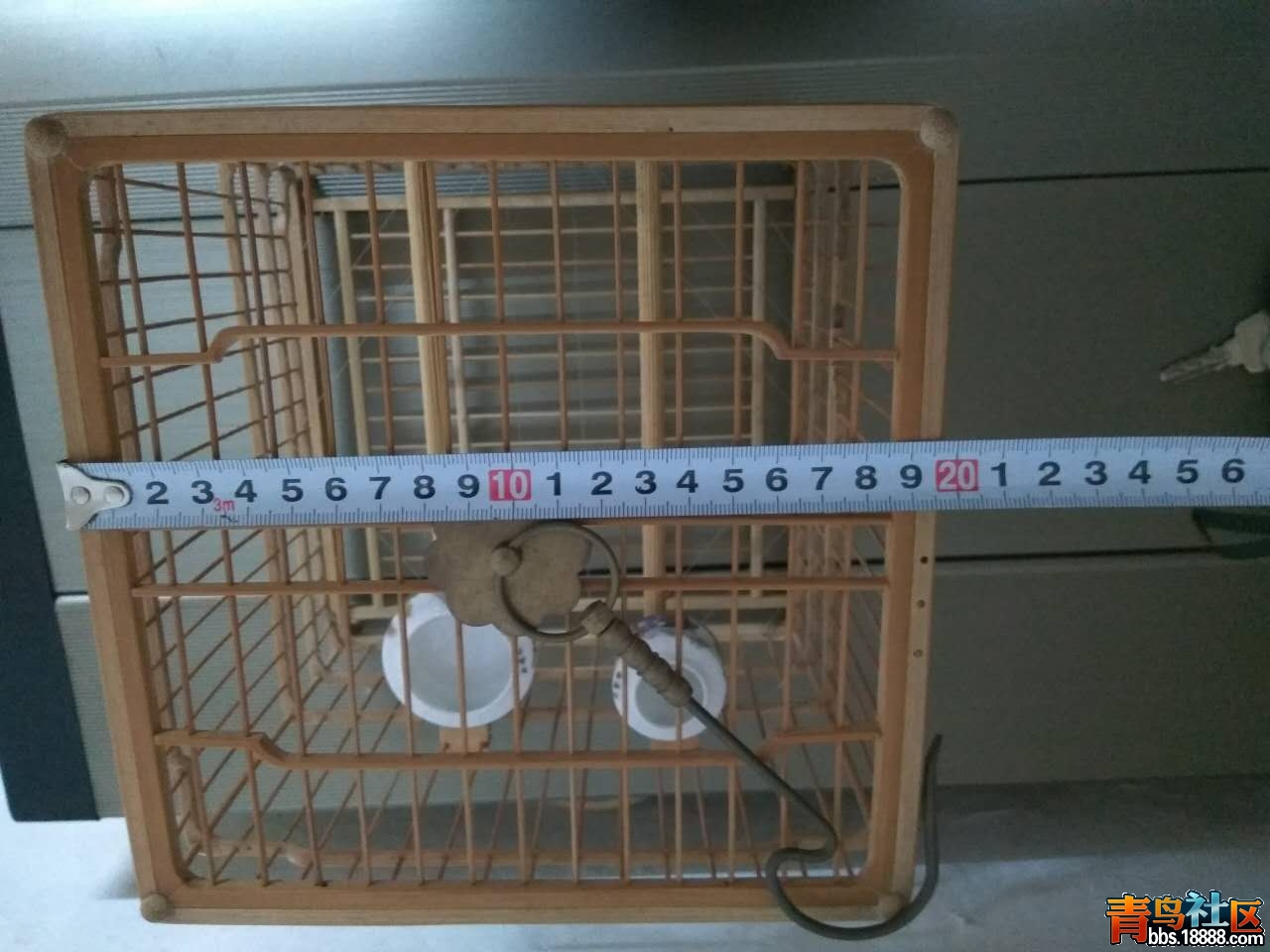 467406727254233171.jpg