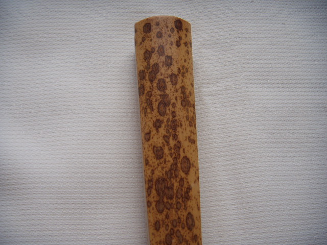 DSCN4583.JPG