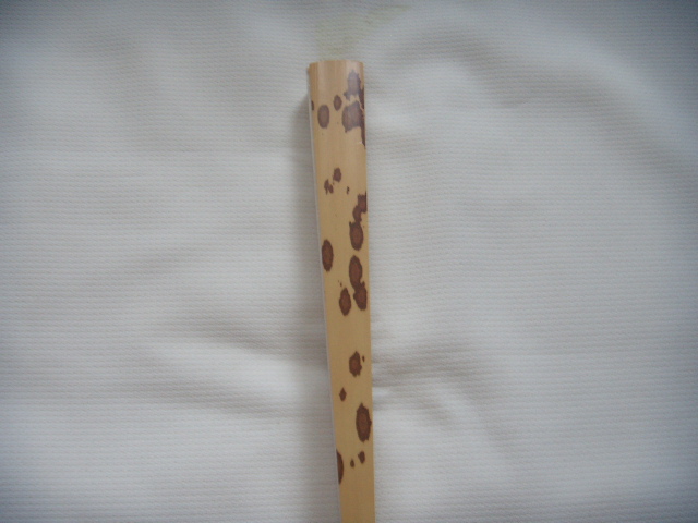 DSCN4146.JPG
