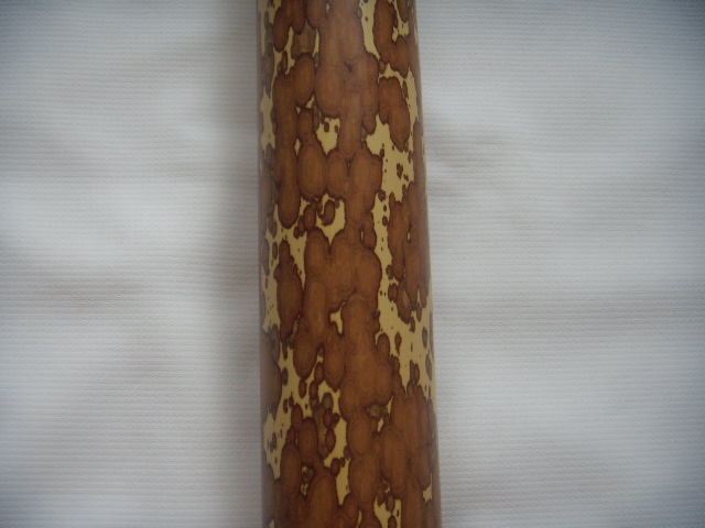 DSCN4157.JPG