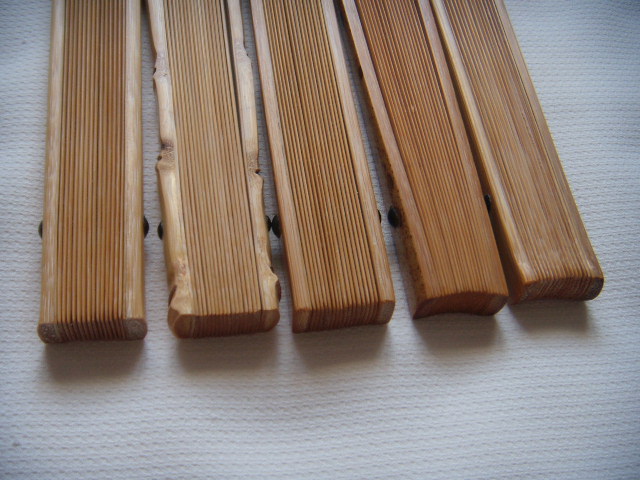 DSCN4707.JPG