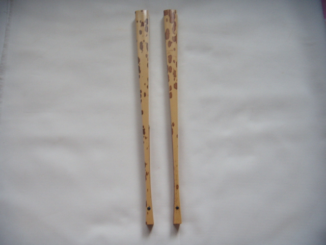 DSCN4084.JPG