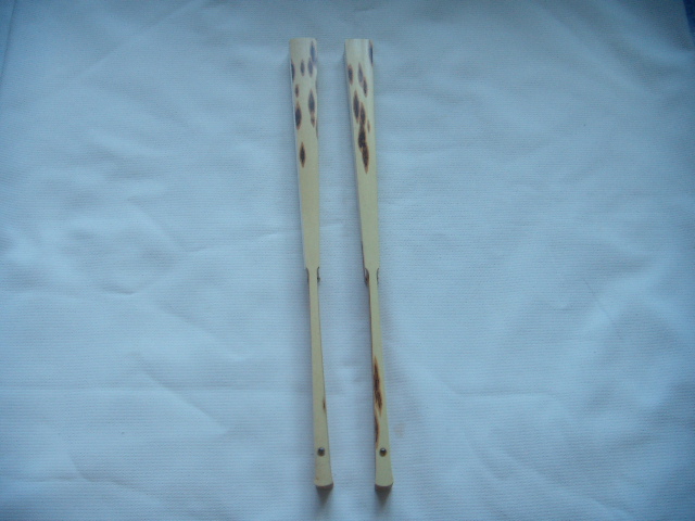 DSCN4665.JPG