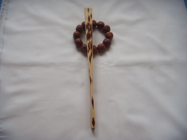 DSCN4320.JPG