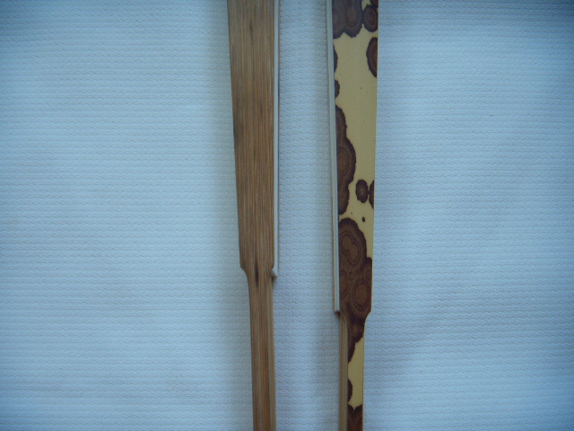 DSCN4430.JPG
