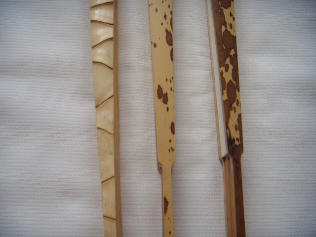 DSCN4473.JPG