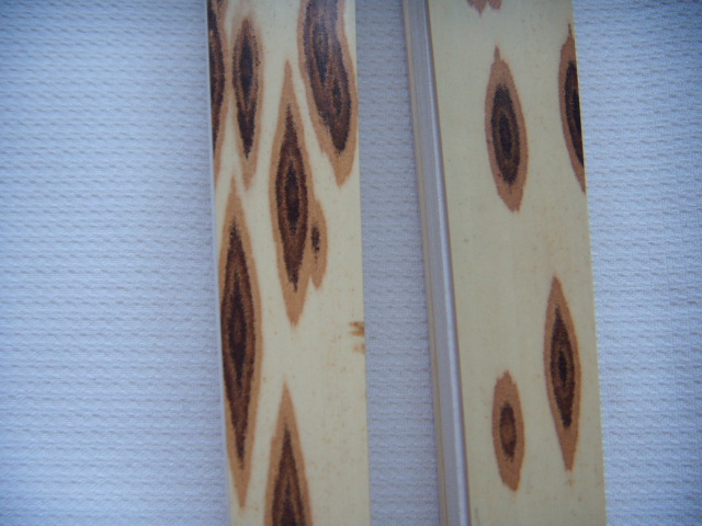 DSCN4678.JPG