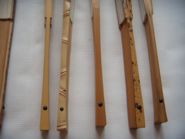 DSCN4702.JPG