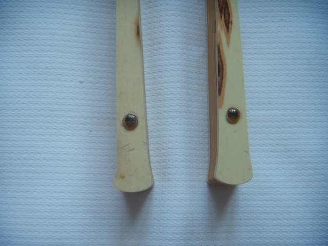 DSCN4669.JPG