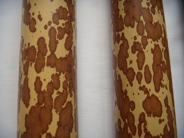 DSCN4718.JPG