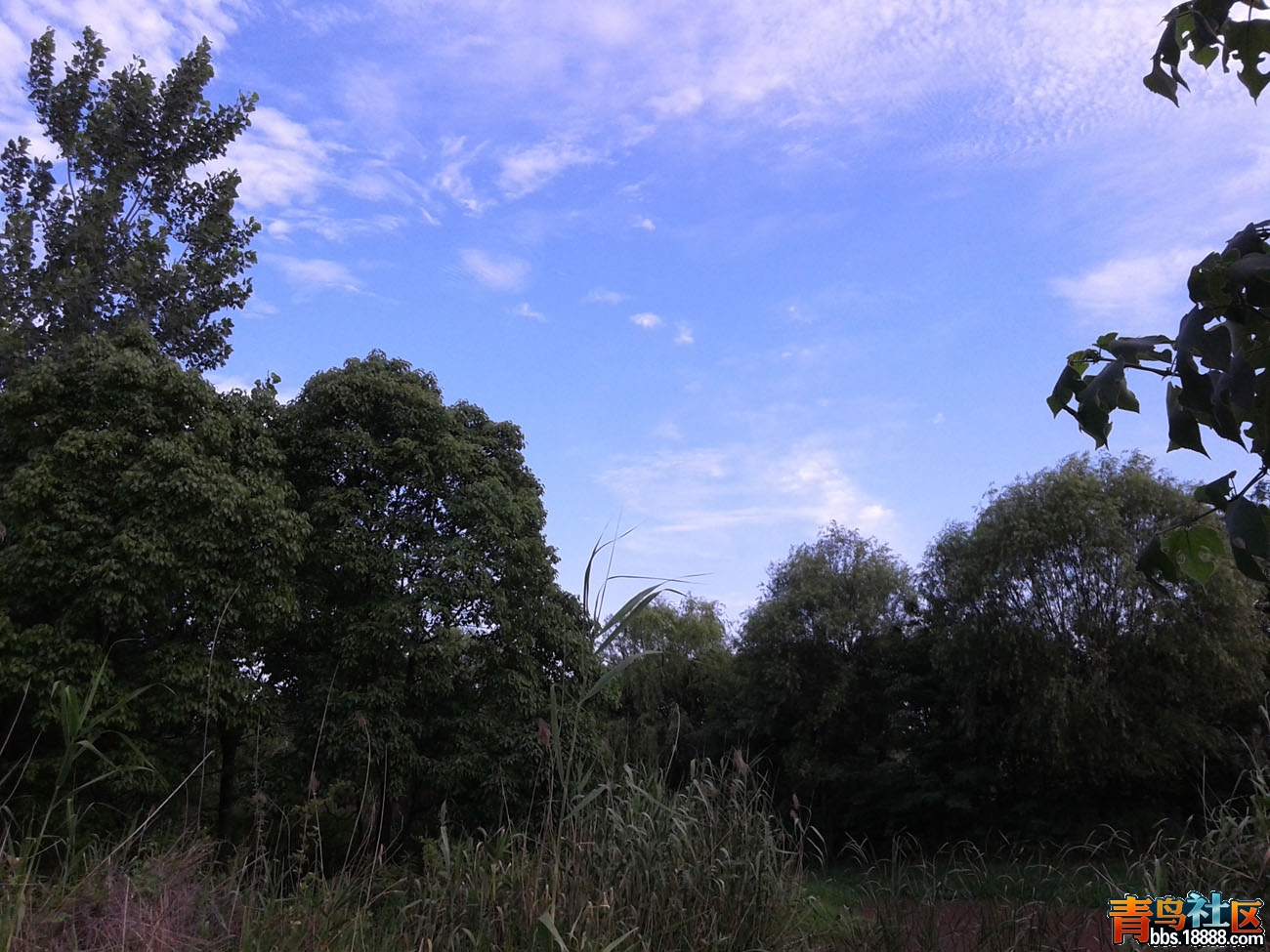 20170603_171941.jpg