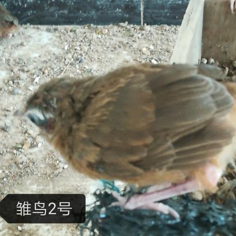 IMG_20170618_142924.jpg