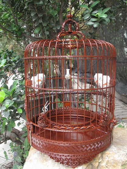 001_调整大小.JPG