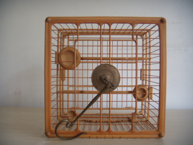 DSCN5148.JPG