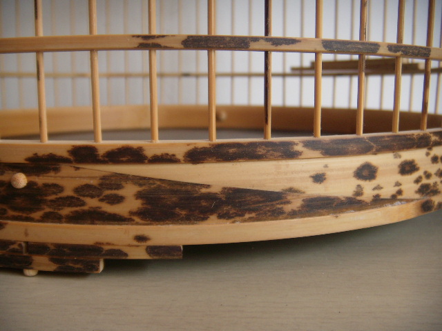 DSCN5242.JPG