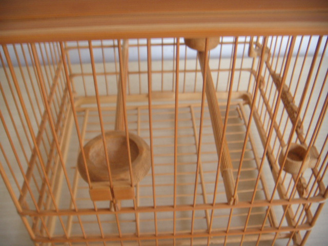 DSCN5143.JPG
