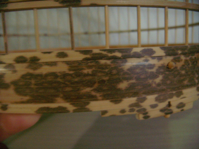 DSCN5348.JPG