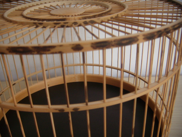 DSCN5246.JPG