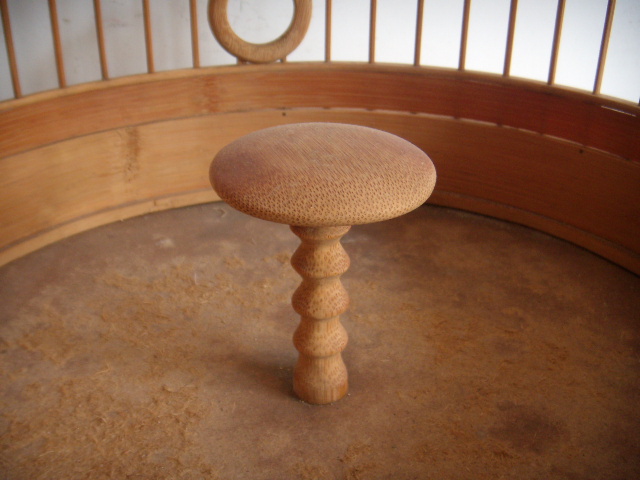 DSCN5069.JPG