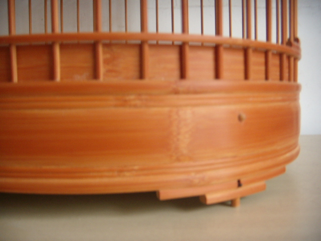 DSCN5068.JPG