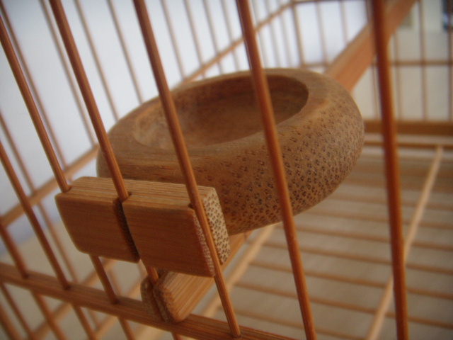 DSCN5135.JPG