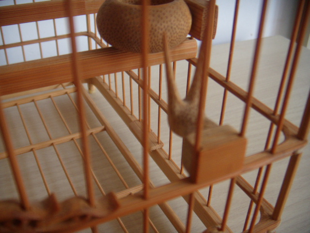 DSCN5132.JPG