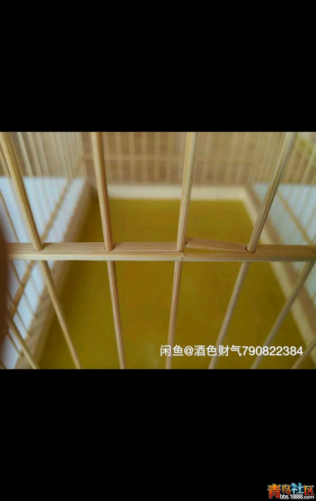 914EDD3A1166AFE2EFE2CFFC8B0B931E.jpg