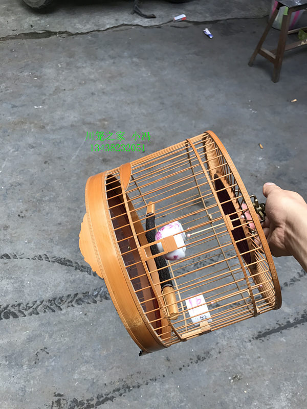 21.jpg