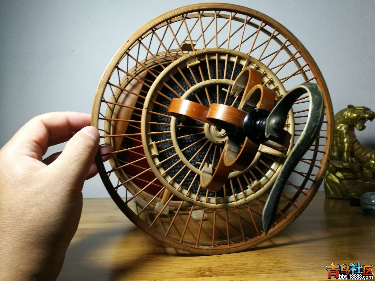 mmexport1497439254625.jpg