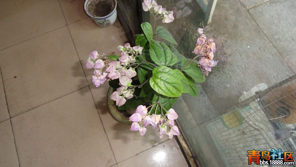 DSC02897_副本.jpg