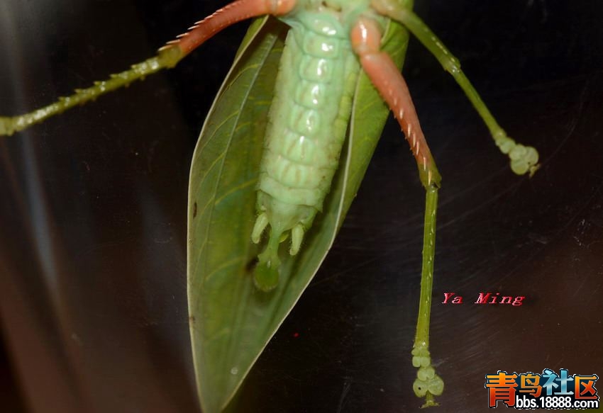 DSC_6069_缩小大小.jpg