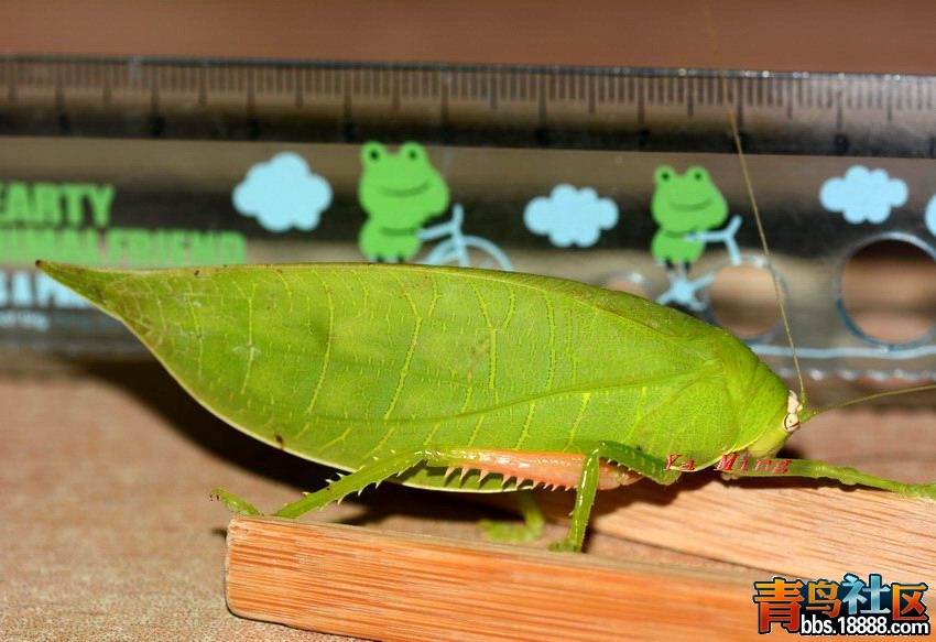 DSC_6028_缩小大小.jpg