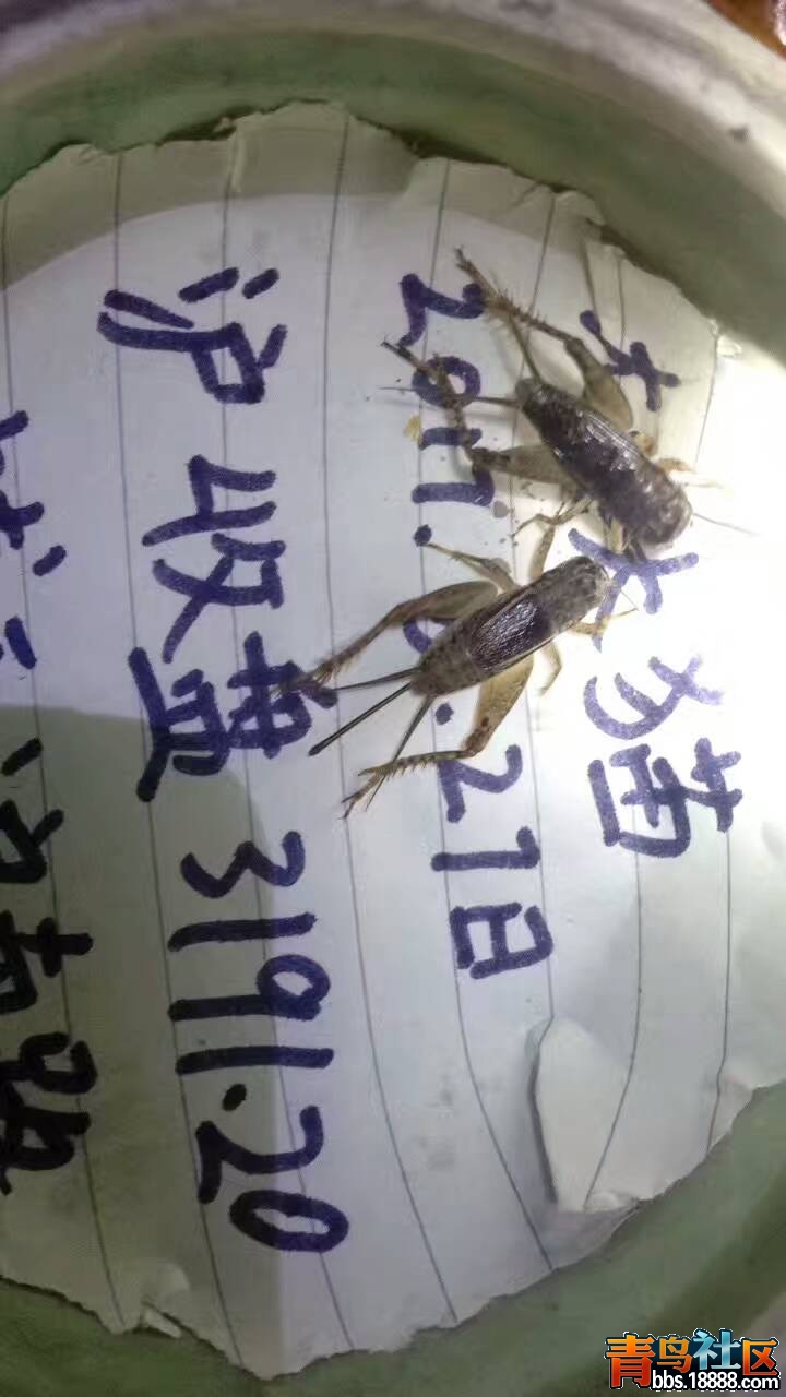 微信图片_20170628201948.jpg