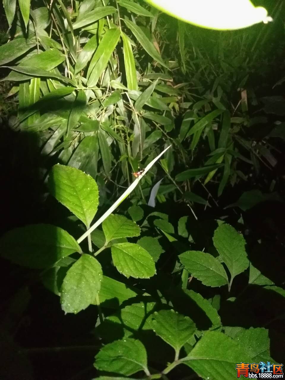 微信图片_20170628202030.jpg