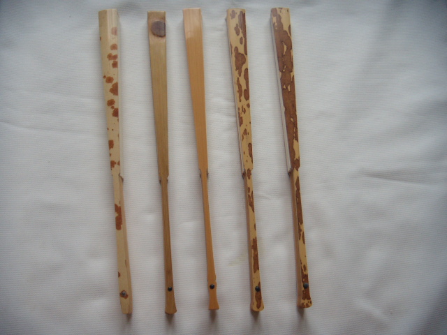 DSCN5313.JPG