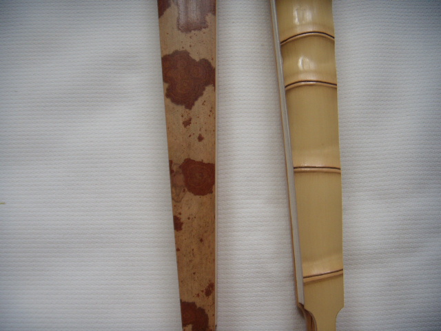 DSCN5086.JPG
