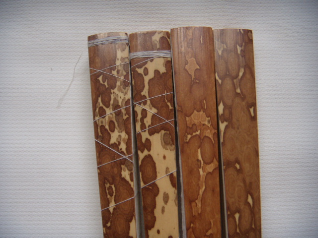 DSCN5025.JPG