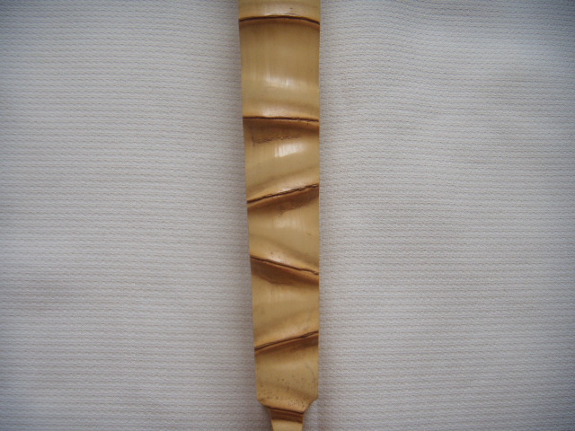 DSCN5478.JPG